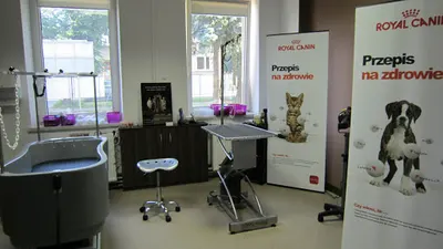 Gabinet Weterynaryjny - Weterynarz - Centrum zdrowia małych zwierząt